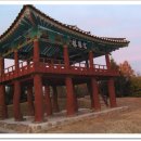 영주동반구정 이미지