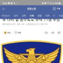 노일호 특수목적견 Daum카페