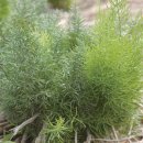 휴아일랜드 이미지