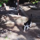 물소리새소리 | [경기] 자연을 품은 도심 속 작은 쉼터, 새소리물소리