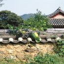 도해식품 이미지