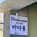 다봄 디저트카페 | 속초 오션뷰 카페 추천 카페바다봄 주차 솔직후기