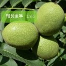 곡성-185 이미지