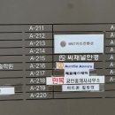 앤티앤스대방디엠시티점