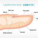 포이즌의원 네이버블로그