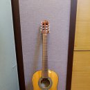 성인 포크기타 이미지