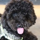 제로미카페 이미지