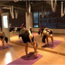 바디핏 요가 이미지