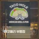 7333 | 인천 부평 굴포천역 맛집 타코몰리 부평점 타코 퀘사디아 세트 내돈내산 후기