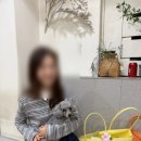 써니2 | 홍대애견카페 써니네애견카페 후기 입장료 등