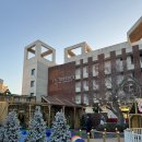 라테라스 코브 스위트 | 여수 라테라스 리조트 아기랑F동 코브스위트 실내수영장 스프링페스타 후기