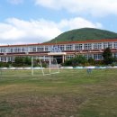 노블하우스유소년축구캠프