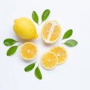레몬 이미지