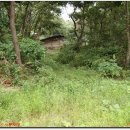 대성삼거리 이미지