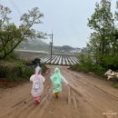 고센 펜션 이미지