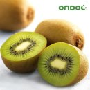 건양유통 이미지