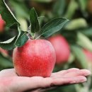 예스한의원 이미지