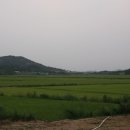 성산  매부리 이미지
