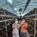 명은농장 이미지