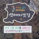 해변 태양광발전소 이미지