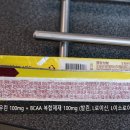 해태스포츠