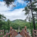 마장호수흔들다리 | 가족 나들이 코스 추천! 비 갠 뒤 완벽했던 마장호수 출렁다리와 대형 베이커리 카페 브루다 양주...