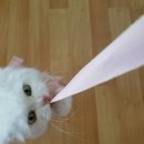 카페315 이미지