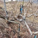 조아농장 이미지