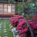완산방-14 네이버블로그
