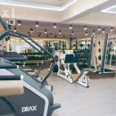 브라운짐 이미지