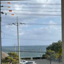 동해바다 | 동해 트리고 카페 후기｜바다 보며 빵 먹기 좋은 동해카페