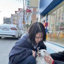디크리메 이미지