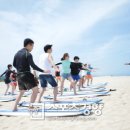 비치 스포츠경향