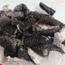 하영횟집 이미지