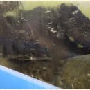 구로횟집 이미지