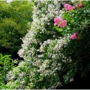 평화마을 이미지