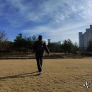 쌍용공원 이미지