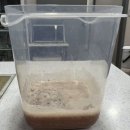 상상동물병원 | 광주 봉선동 동물병원 입원 후기, 고양이 농흉과 호흡곤란