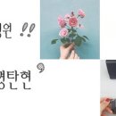 아이미안경탄현 이미지