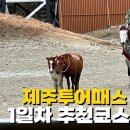 (유)제주파크투어 | 제주투어패스 여행 1일차 코스추천 더마파크 외 5가지 이용후기