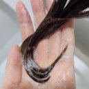 지루성 두피에는 <b>천연</b><b>라이브</b>_한결샴푸