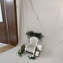 모모스튜디오 2호점) 첫돌사진 어디서 찍을까? 모모스튜디오 광진점 솔직 후기