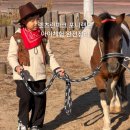 포니랜드 | 렛츠런파크 포니랜드 아이체험 후기 방문 팁