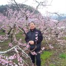 신광목장 이미지