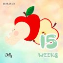 제이이비인후과의원 | #8. 임신 15주 / 여행, 인후염, 산전요가 🧘🏻‍♀️