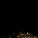 비바푸드트럭 이미지