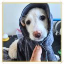 아이조아요양보호소 전남광주점 이미지