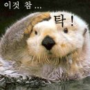 와봐노래방