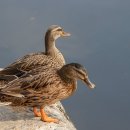 허 한의원 이미지