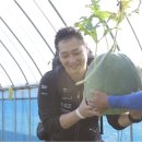 우럭농장 이미지